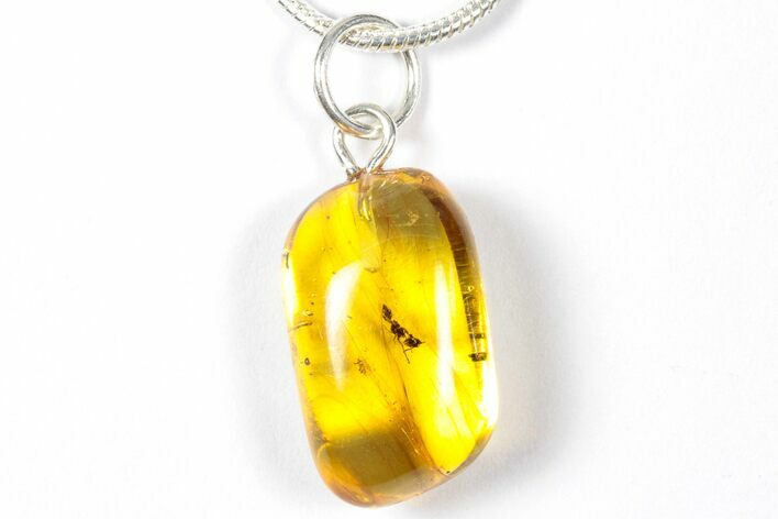 Polished Baltic Amber Pendant (Necklace) - Contains Ant! #357950
